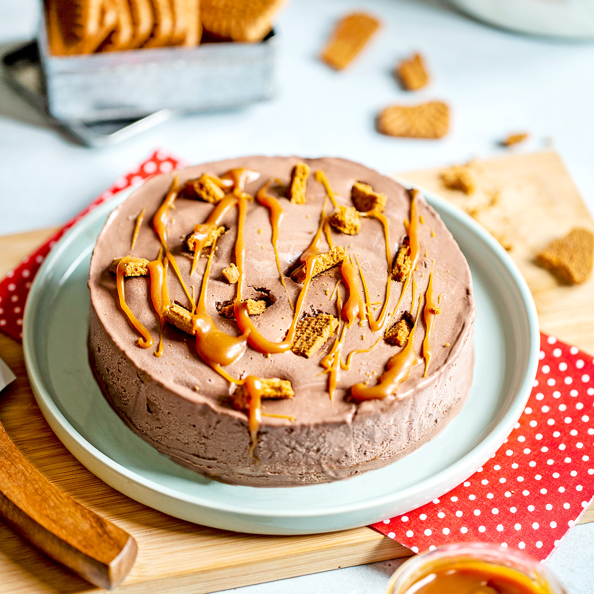Gateau Glace Au Chocolat Et Speculoos Regilait Gateau Glace Au Chocolat Et Speculoos Regilait